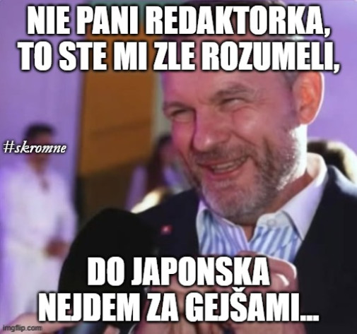 Príspevok 228196